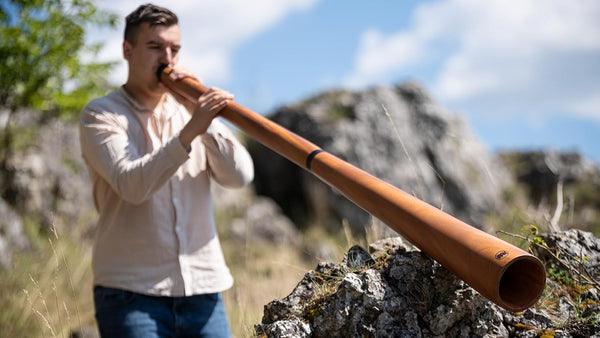 Meinl Sliced Pro Didgeridoo: Key of D