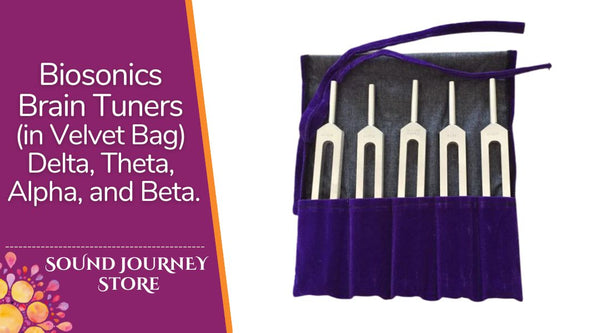 Biosonics Brain Tuners (in Velvet Bag)  Delta, Theta, Alpha, and Beta.