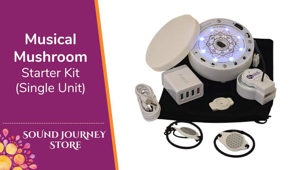 Musical Mushroom Starter Kit (single unit)