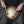Artisan Instruments Tongue Drum Golden Royal 8 Note B Akebono